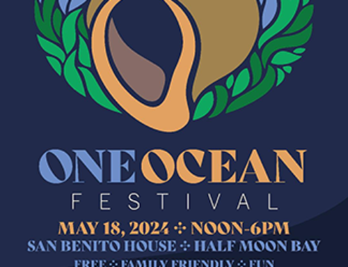 One Ocean Festival